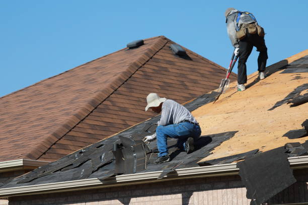 Best Rubber Roofing (EPDM, TPO)  in Dexter, MI