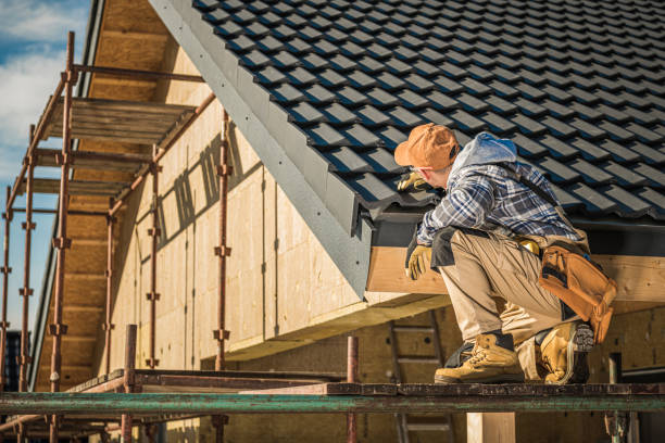 Best Sheet Metal Roofing  in Dexter, MI