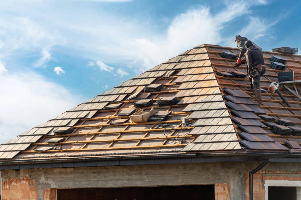 Best Roof Coating Services  in Dexter, MI
